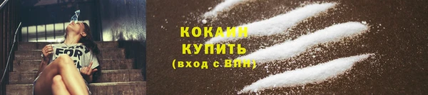крисы Абаза