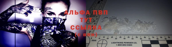 крисы Абаза