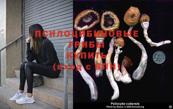 мескалин Абинск