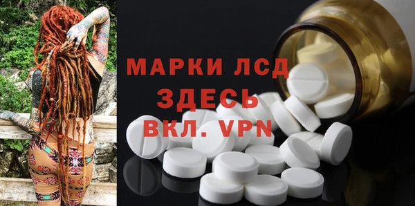 крисы Абаза