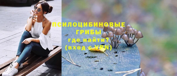 а пвп мука Рославль