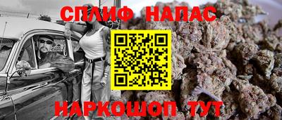шишки Обнинск