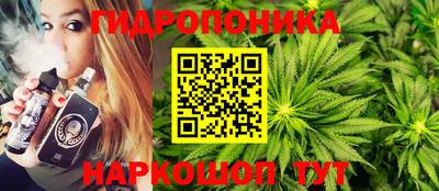 шишки Обнинск