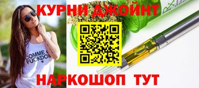 индика Обь