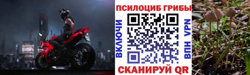 Галлюциногенные грибы Magic Shrooms  Ступино 